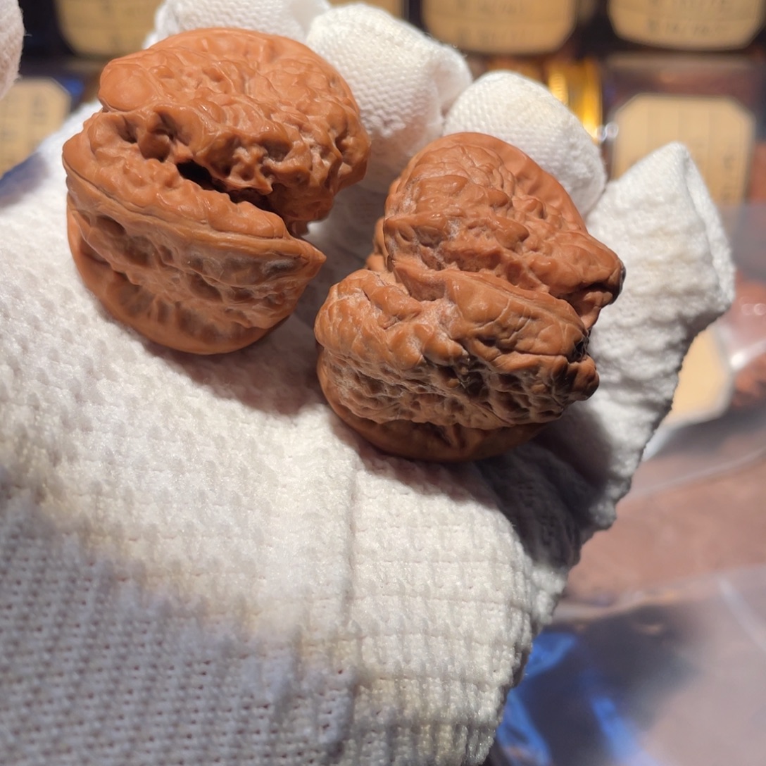 核桃43癞蛤蟆mmmmm