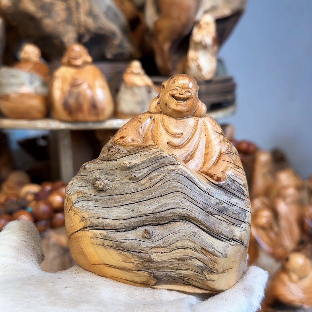 柏木（崖柏）666666666666