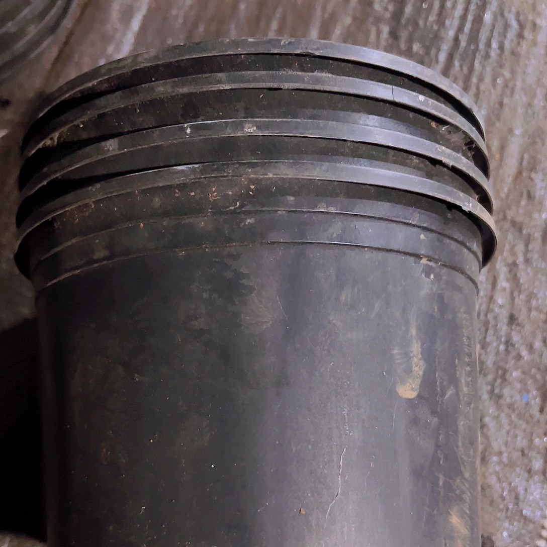 塑料加硬加伦20口径14高度5个