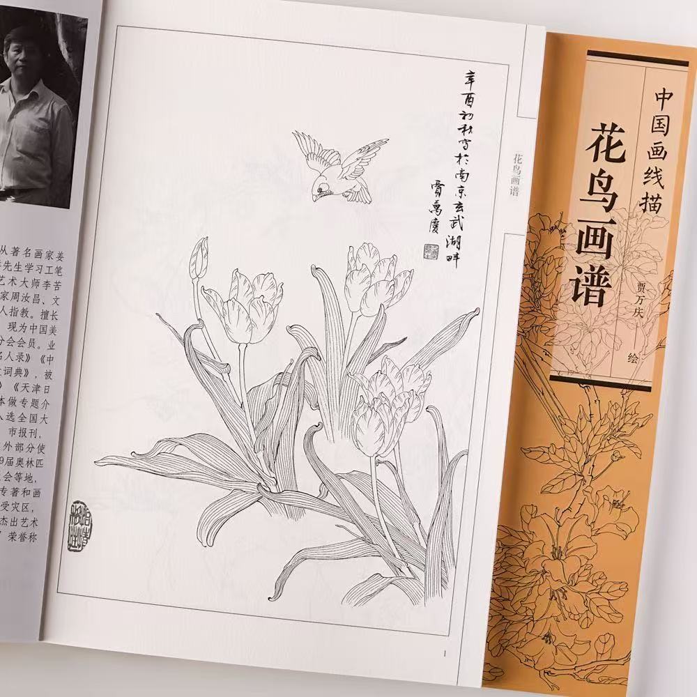 花鸟画谱 中国画线描 工笔花鸟画白描线描 天津杨柳青出版社