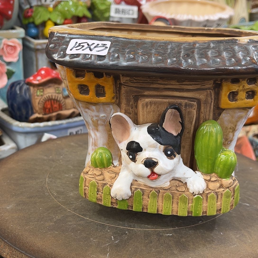 凑满15包邮发货发货