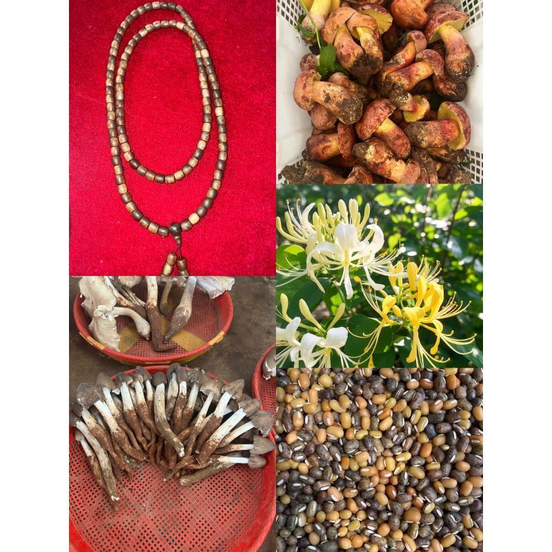 干货【专属土特89号DLGQN0.8x108】多样性发货