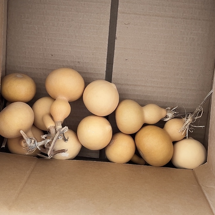 大美葫芦4 鸡蛋4个独霸4