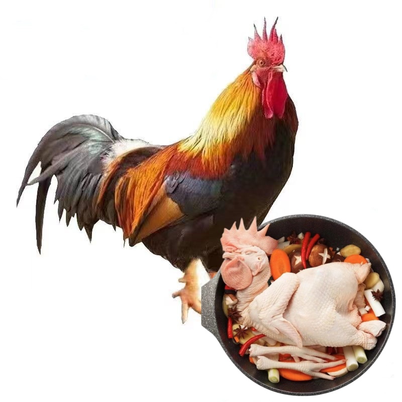 农村散养九斤红生鲜肉质鲜美 整鸡发货到手6只