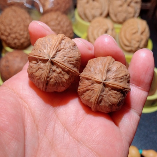 文玩核桃把件铁核桃菩提