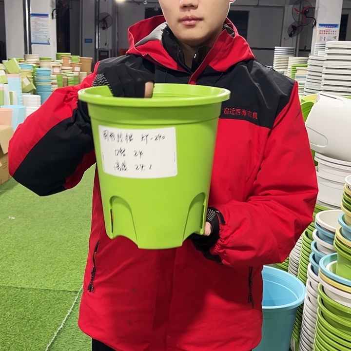 正品圆控口24高24果绿色8只无托