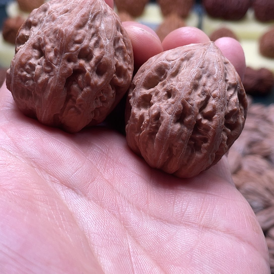 吊坠猴头核桃楸舍利