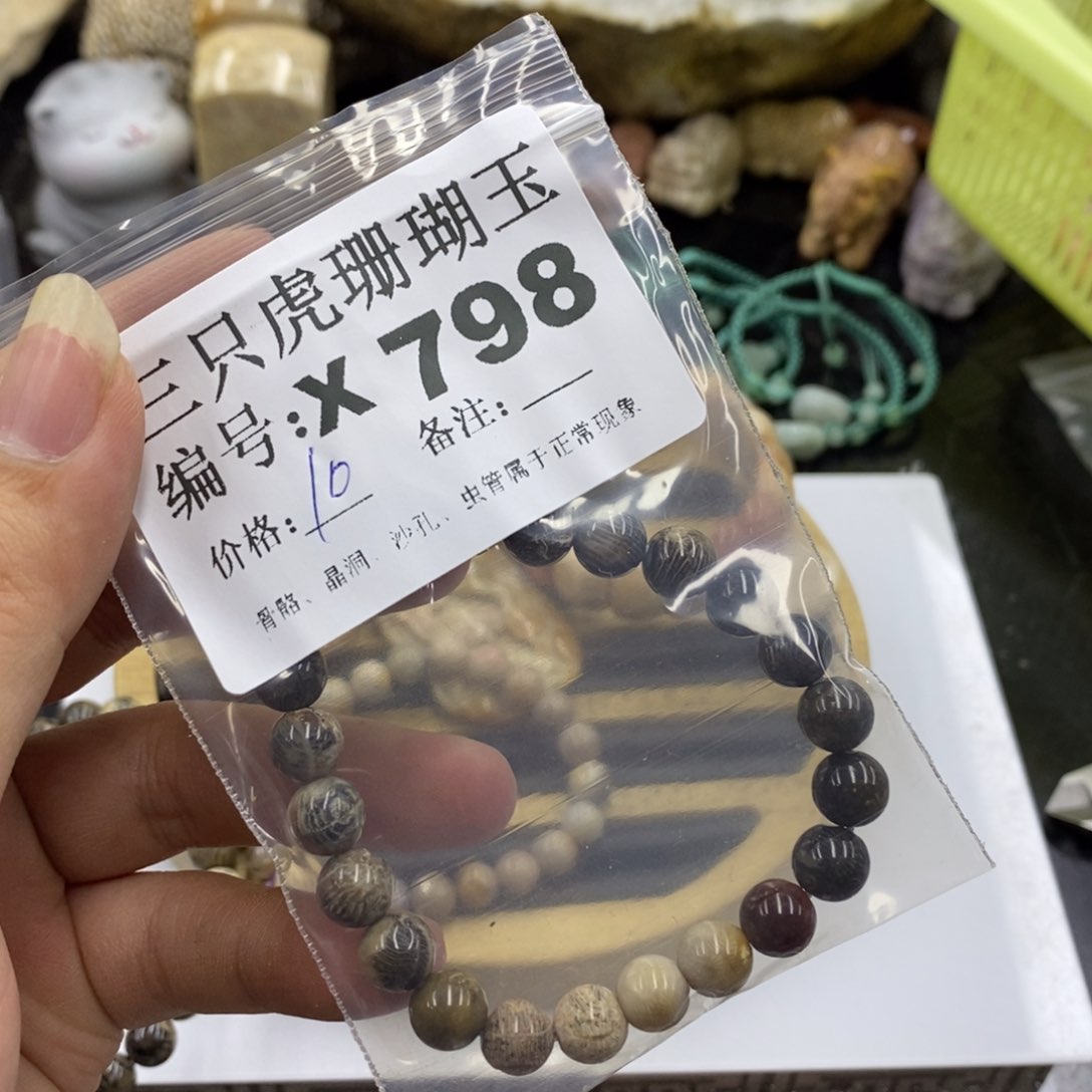 硅化珊瑚（珊瑚玉）X未镶嵌?****！