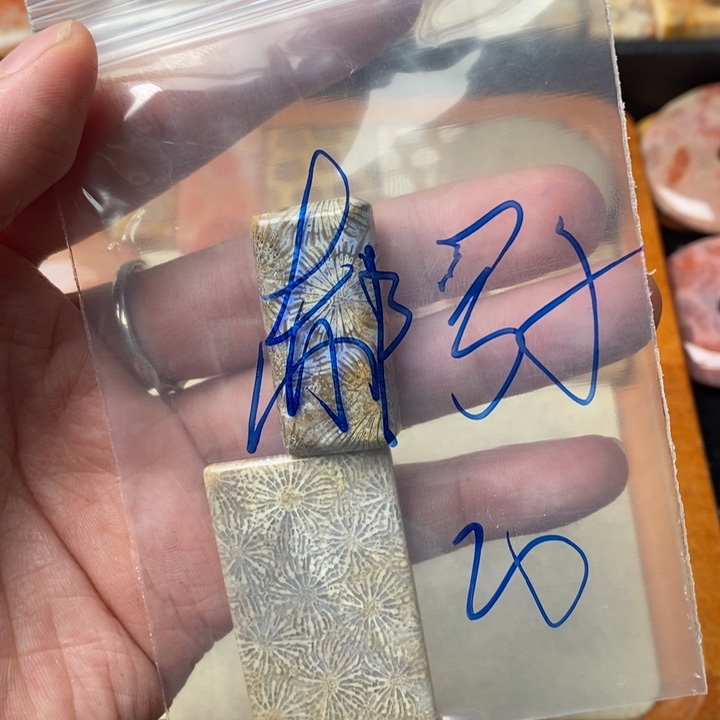 硅化玉颈饰未镶嵌郝*子