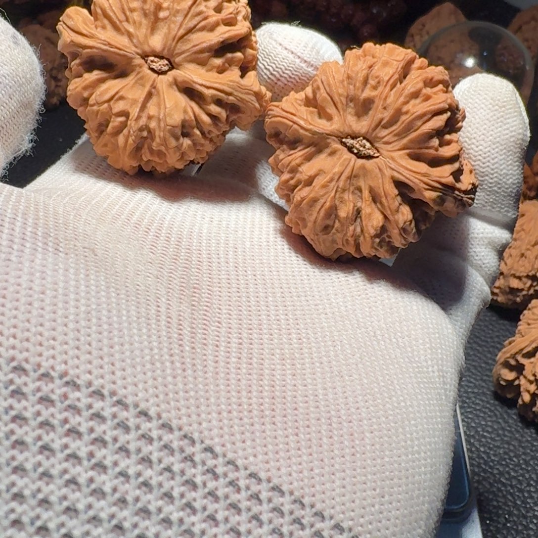 凌***旭文玩核桃吊坠有色差有色差