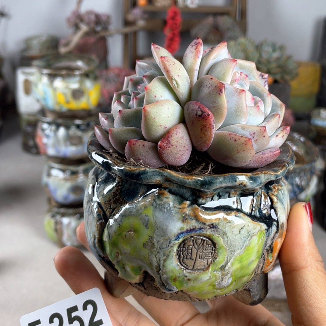 紫砂花盆外口9 .5不含肉 孤品 异型