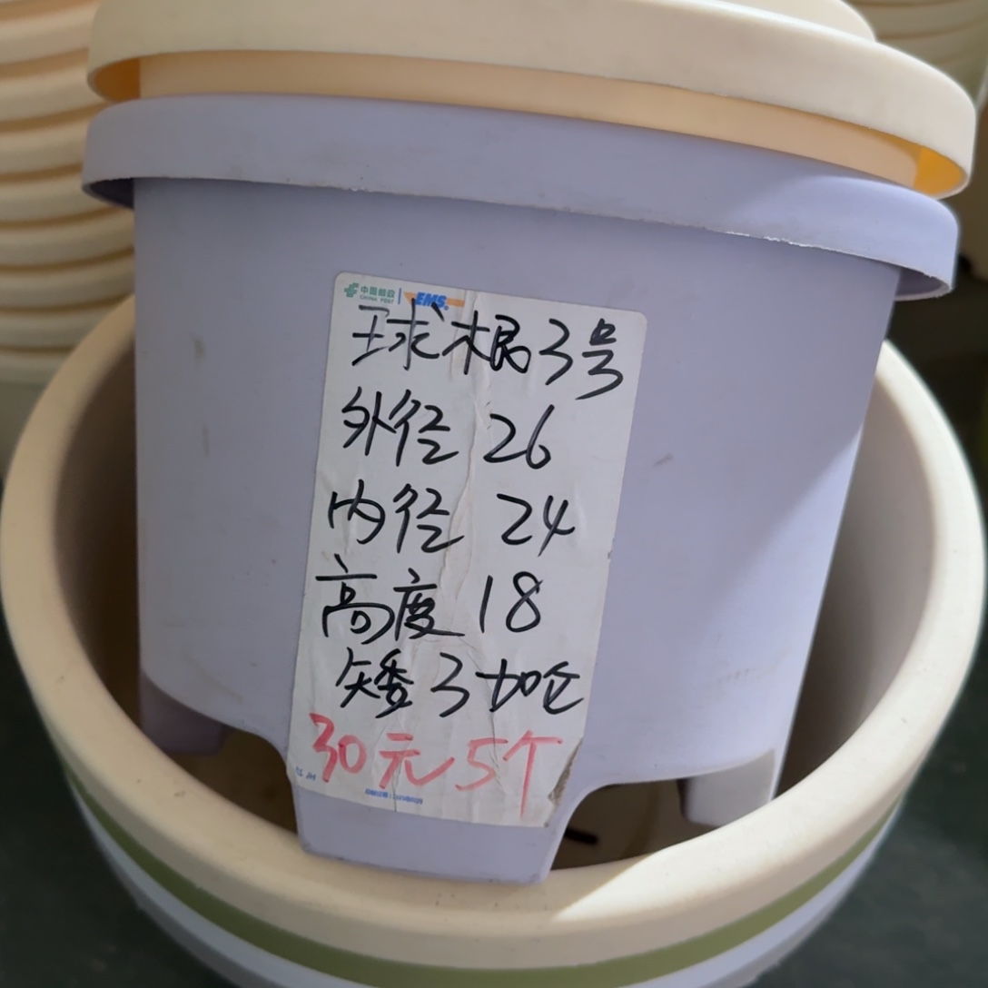 球根3#口径26无拖灰白6个