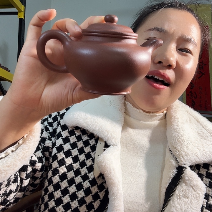 紫砂茶壶紫泥掇支260cc