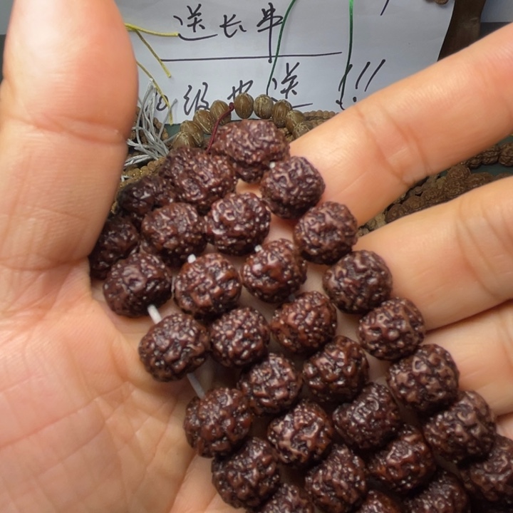 S***牧金刚菩提吊坠红皮平细2条