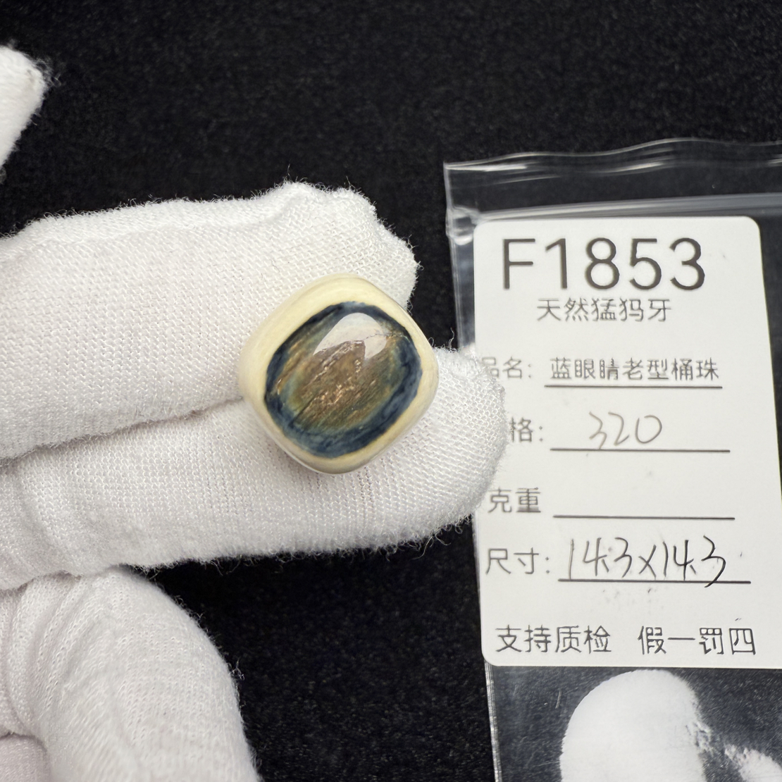 F1853天然猛犸象牙蓝皮老型桶珠墩子顶珠配珠配饰14.3*14.3mm