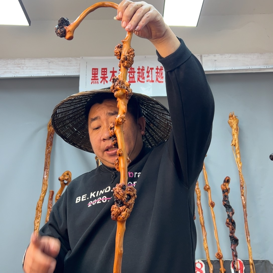 黑果木其他黑果木246