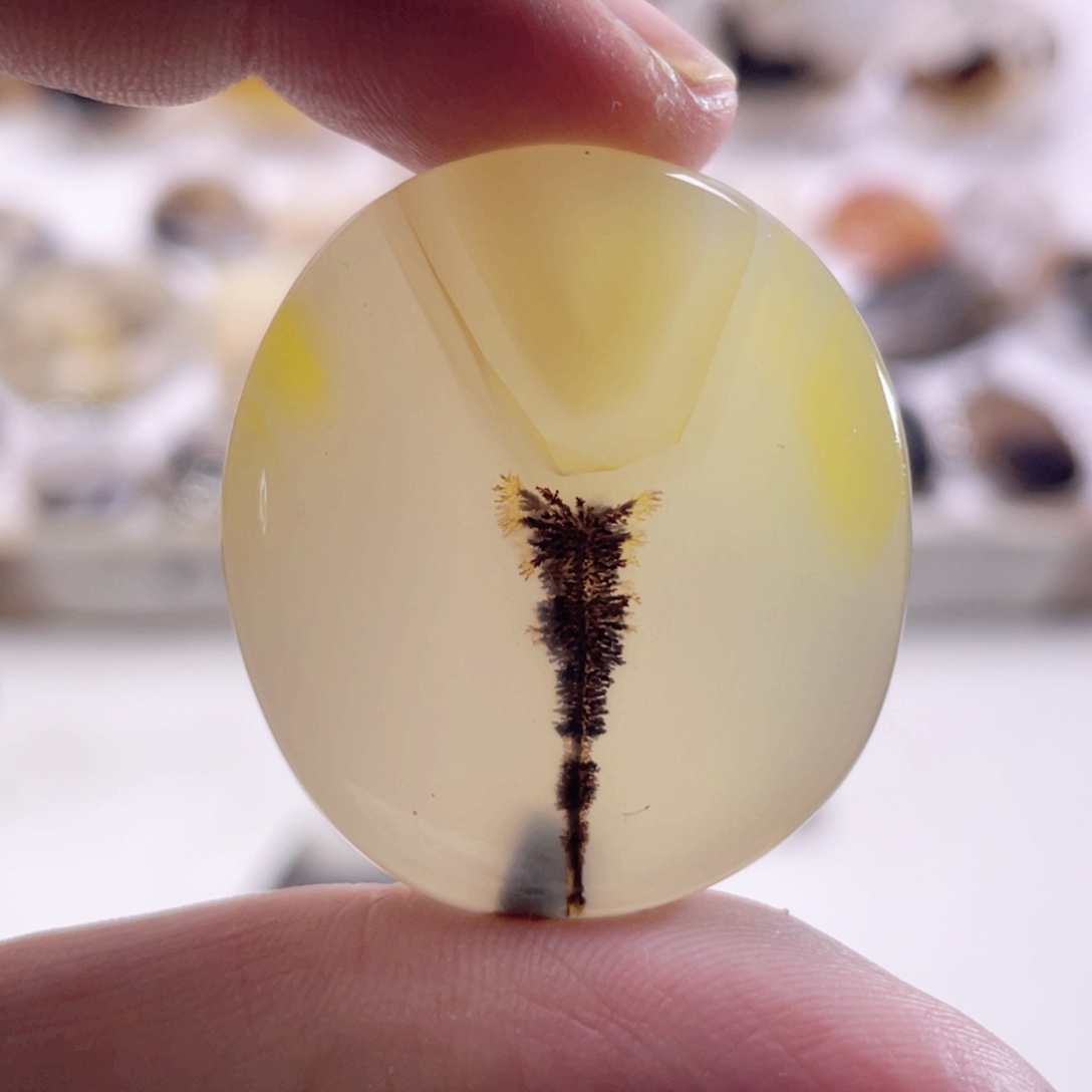 未镶嵌颈饰玛瑙/玉髓