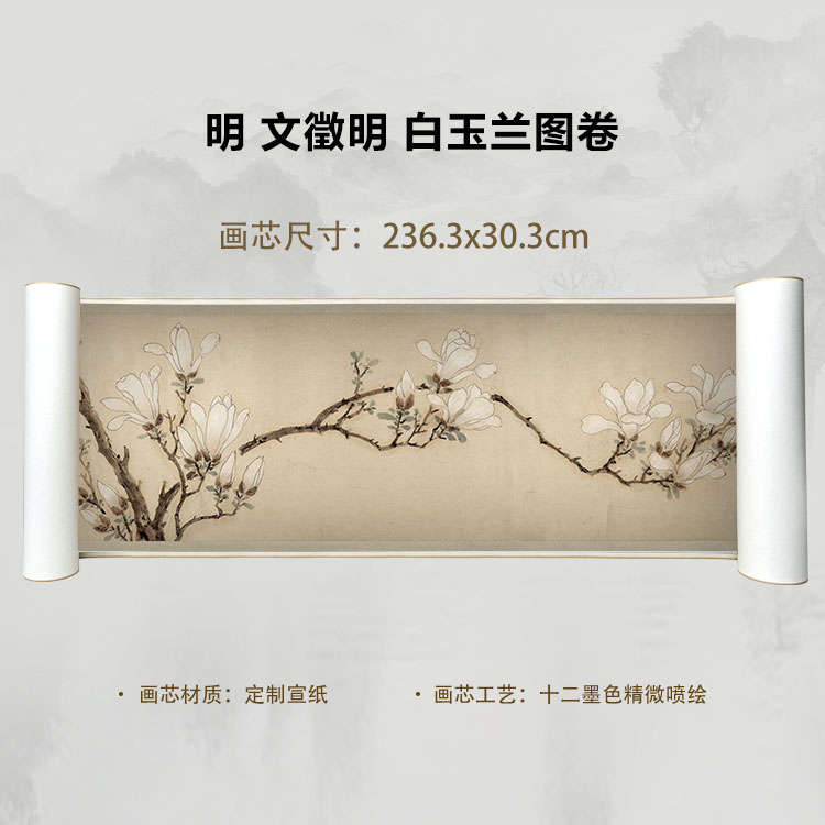 明 文徵明 白玉兰图卷手卷国画微喷客厅背景高清复刻精装裱卷轴