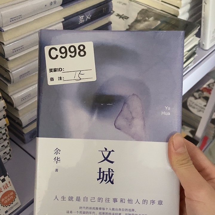 文城   精装带塑封