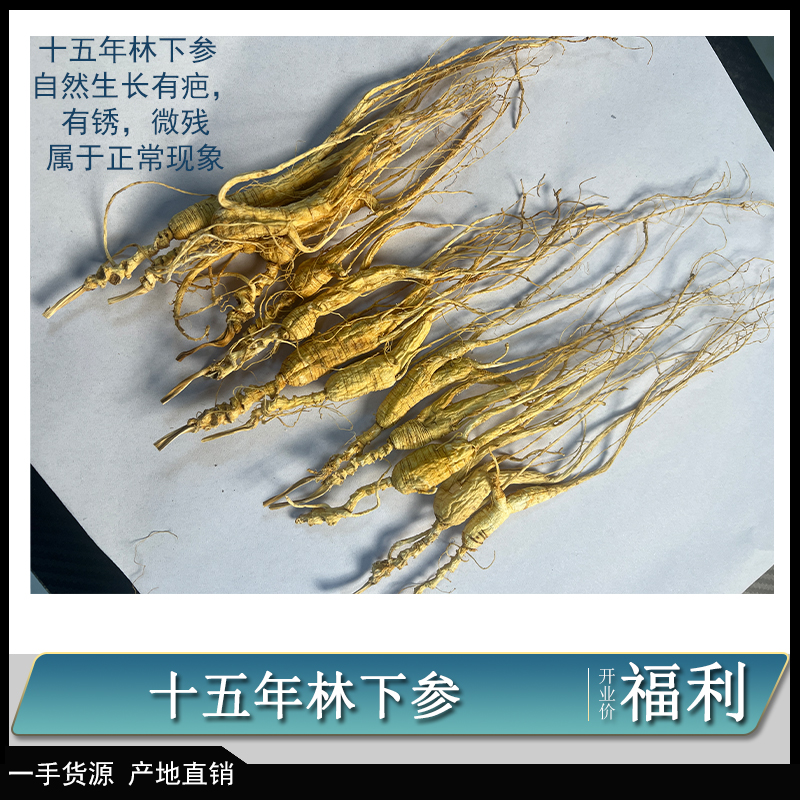 【直播专用】十五年林下参籽货煲汤泡水10g