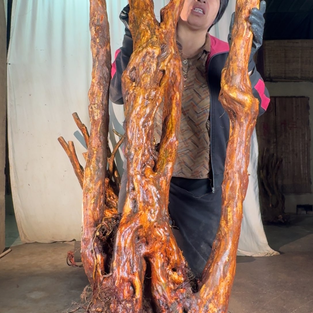 东***理@iiiiiiiiiiiiiiiiiiiiiiii