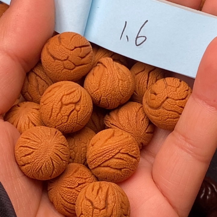 秦岭龙纹桃核15颗