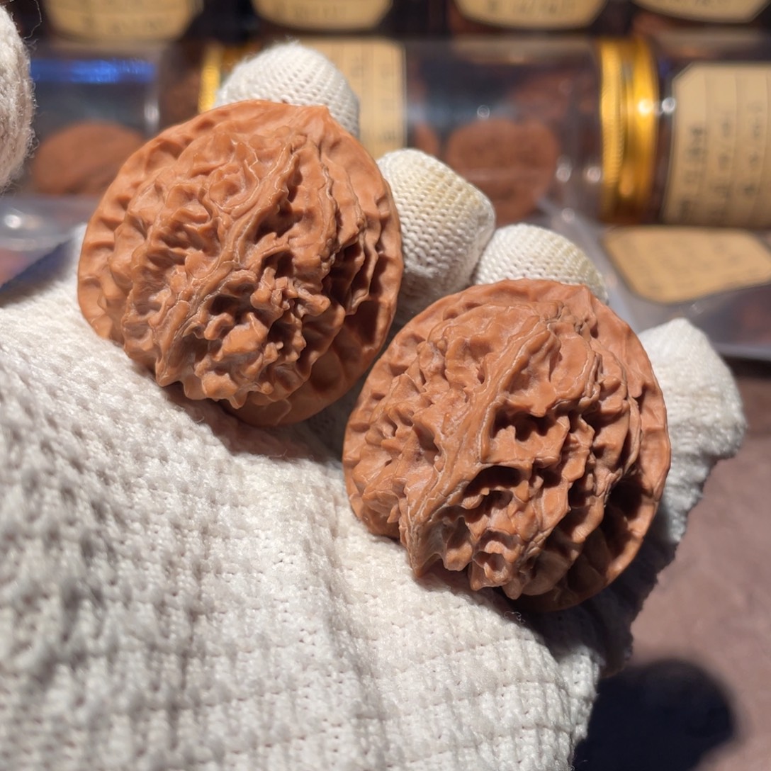 核桃42苹果园yyyyyyy