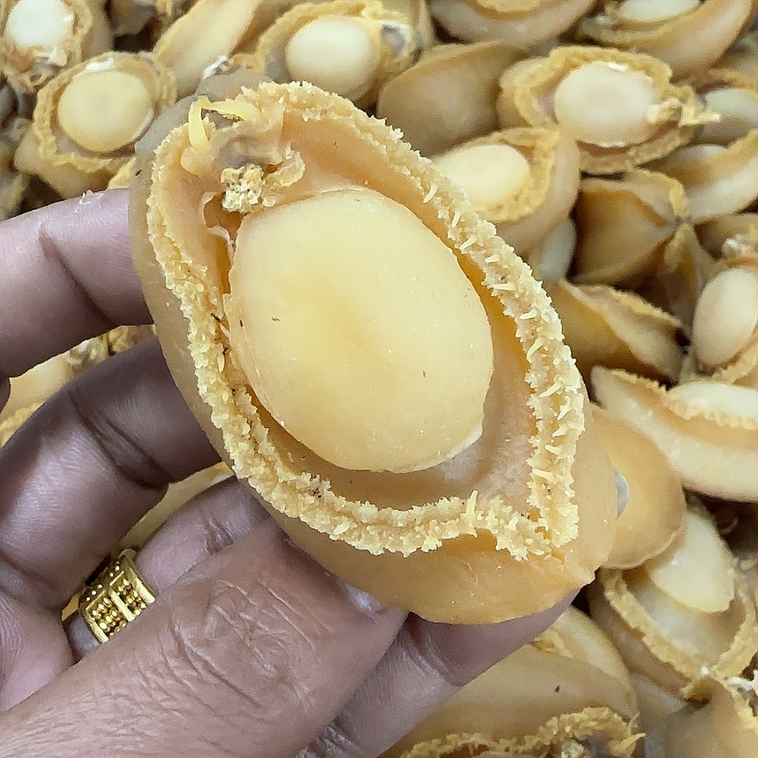 【前记精选】18头大连鲍鱼250-500克 干鲍鱼煮菜炖汤食用