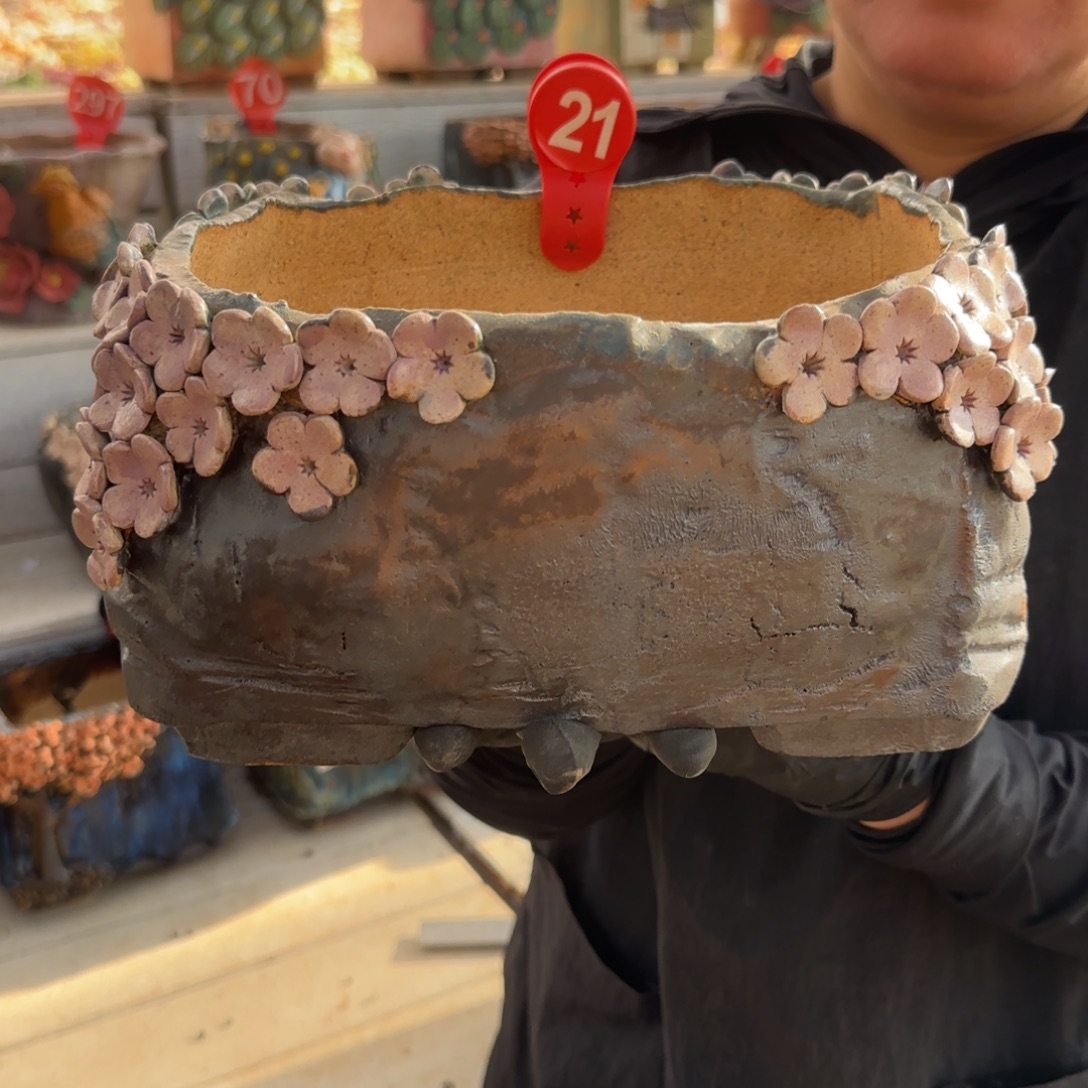 时***瘦21号。       花盆一个