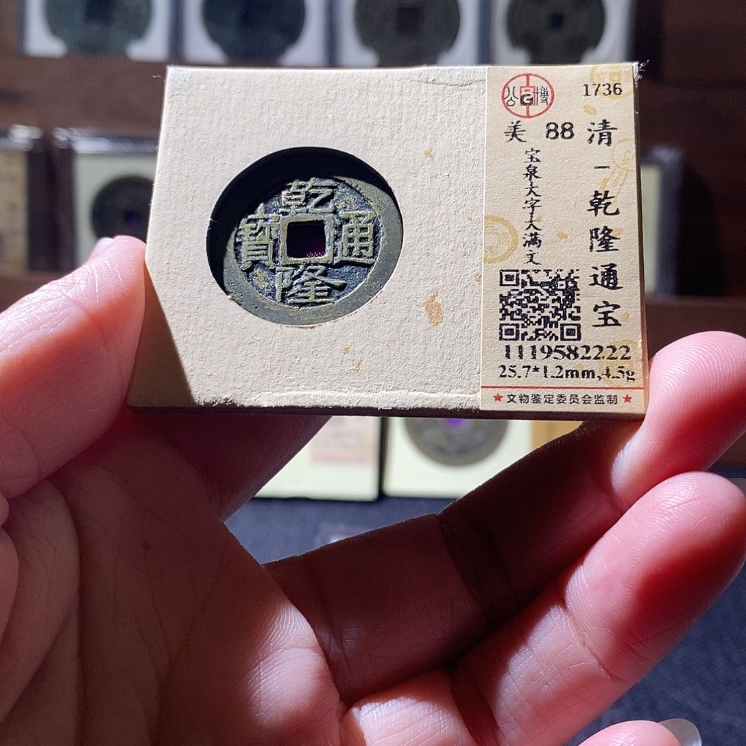 贝壳5 恭喜发财恭喜发财