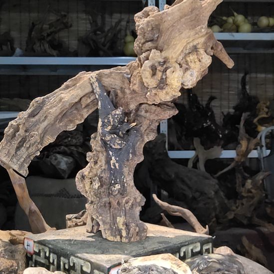 梦***人木太行山沉化麻梨疙瘩随型