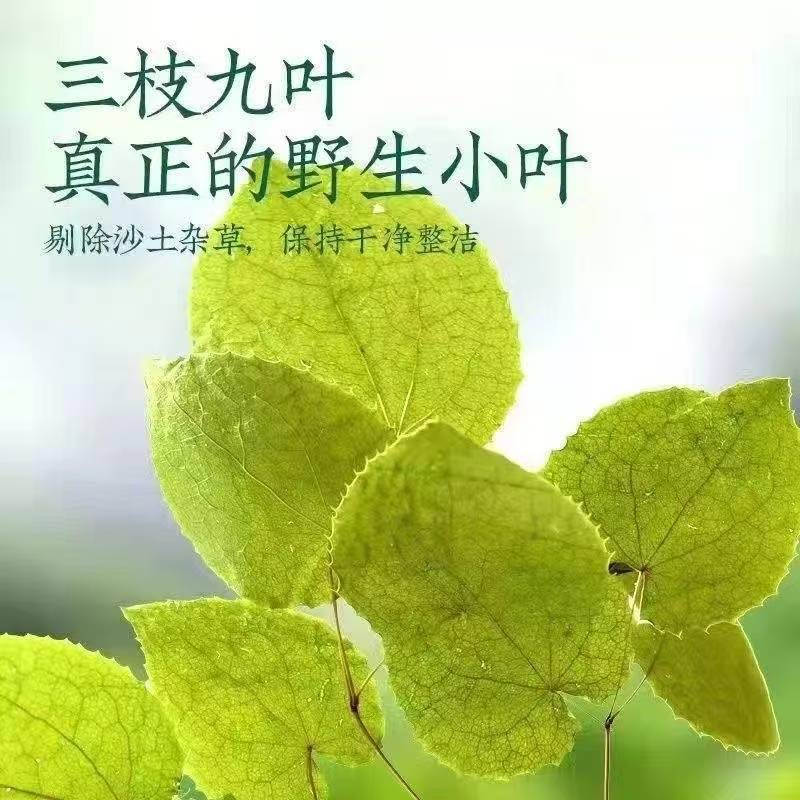 正品野生小圆叶荷叶茶 可泡茶饮 泡酒可搭配山茱萸