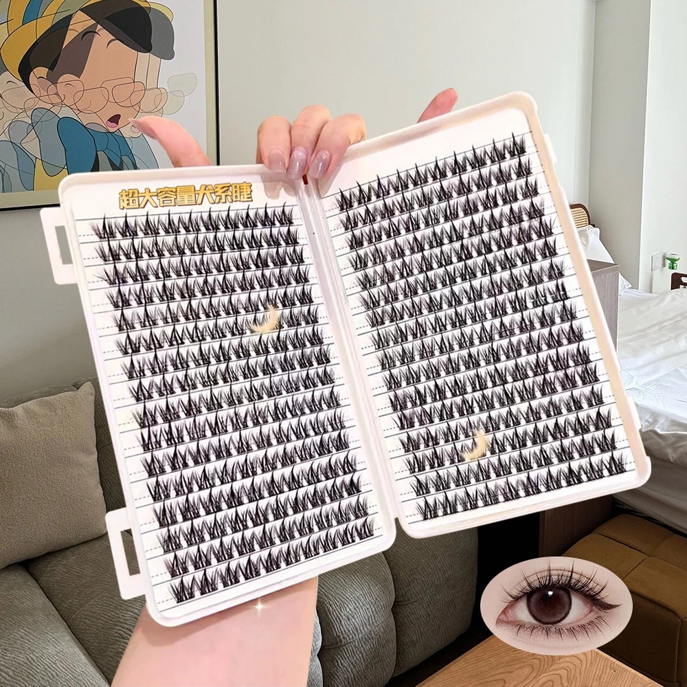 免胶免卸狗狗眼犬系假睫毛漫画可爱上镜眼睫毛懒人三部曲自然分段