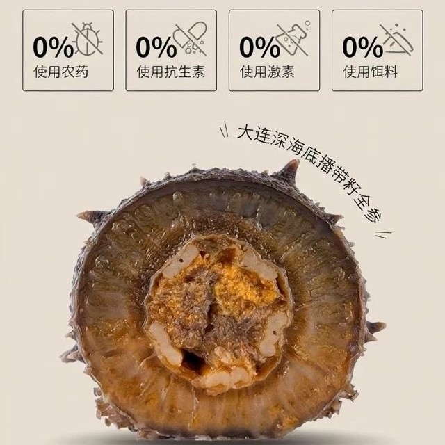 非水发0添加即食蒸制鲜籽海参源头厂家发货顺丰包邮到家即食海参
