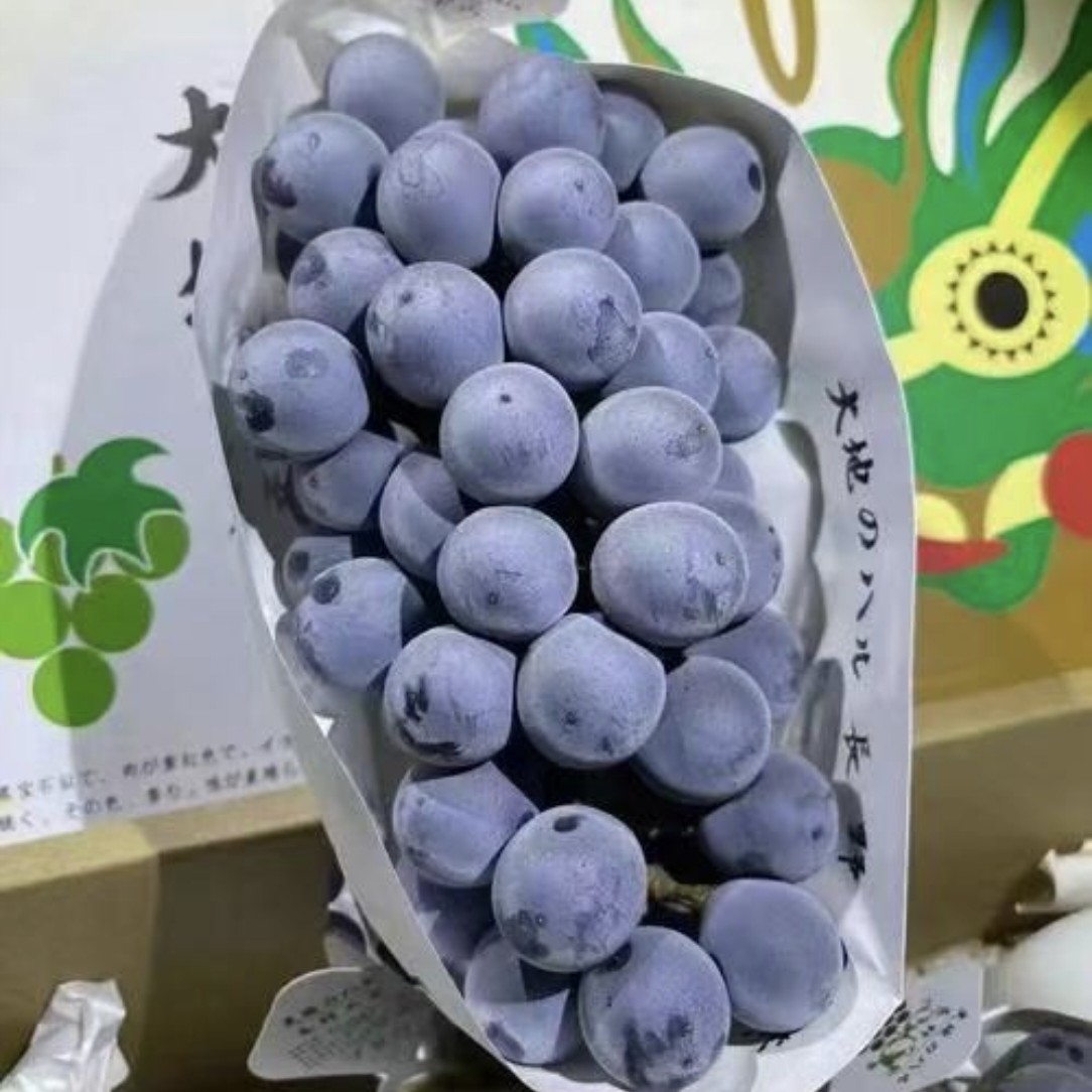 精品蓝莓葡萄一串650g左右