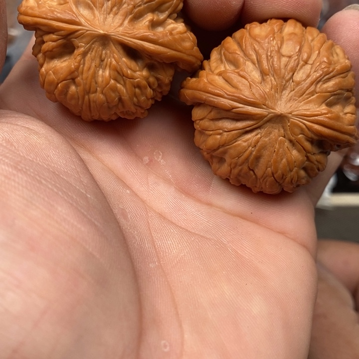 ****沉文玩核桃吊坠正磨