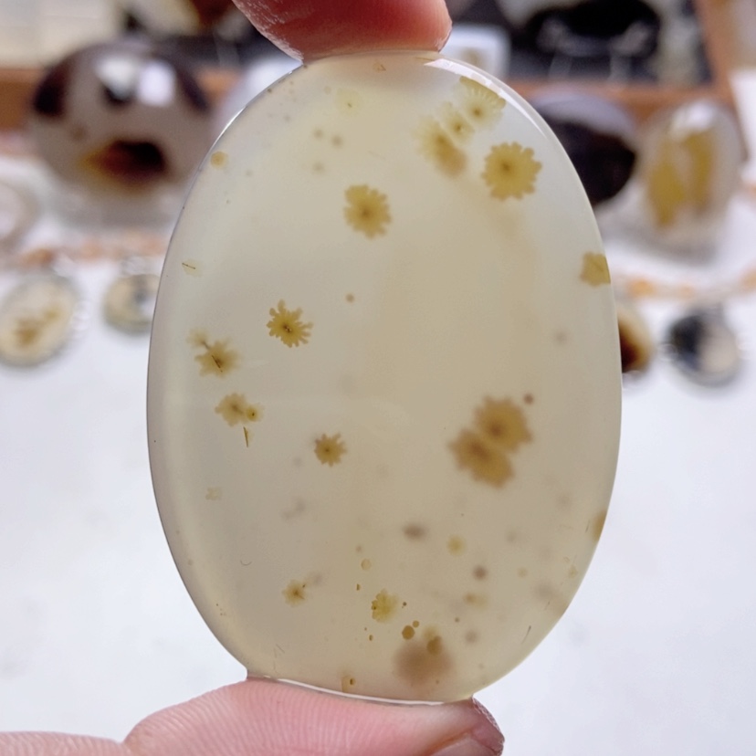 【闪购商品】玛瑙/玉髓颈饰未镶嵌