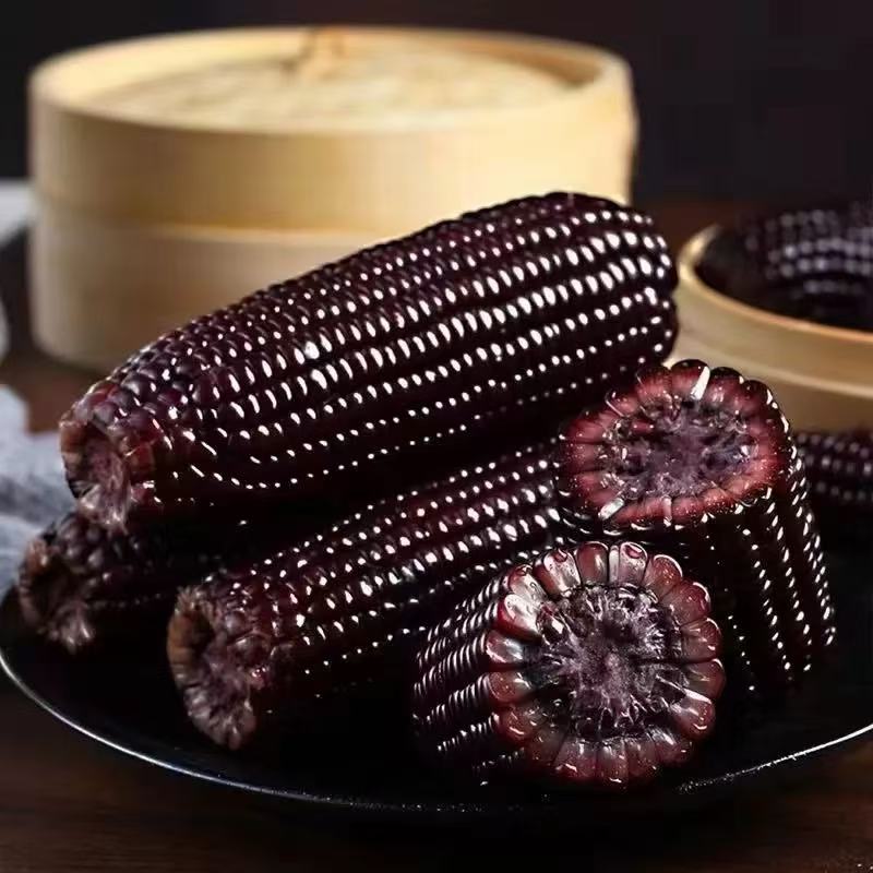 东台黑糯玉米 新鲜软糯香甜 高花青素营养现摘现发粗粮约5斤江苏省