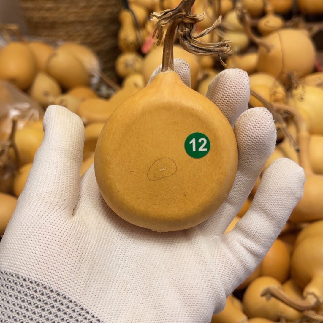 闪拍葫芦链接-12号品