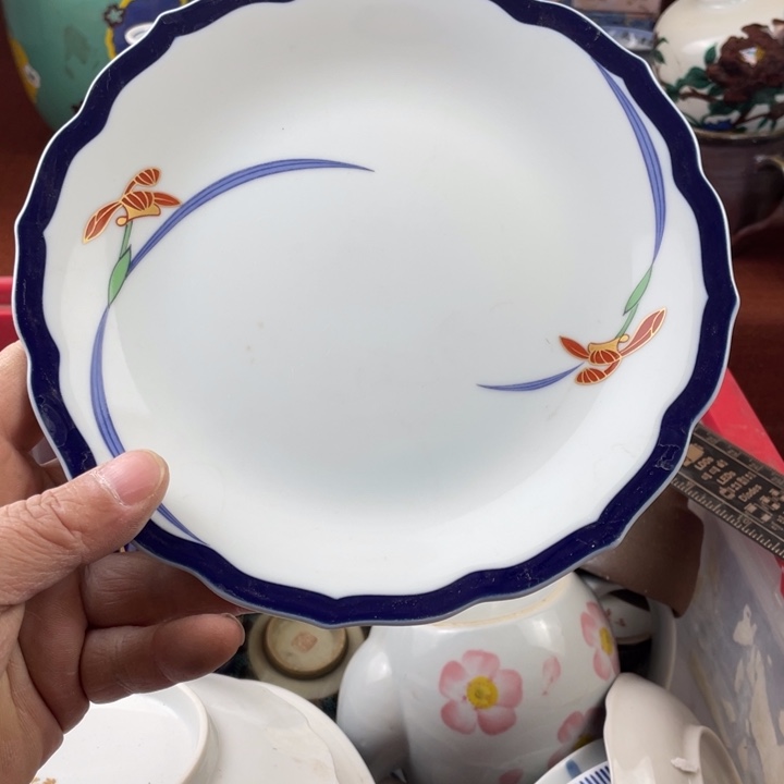 碟开播了开播了开播了