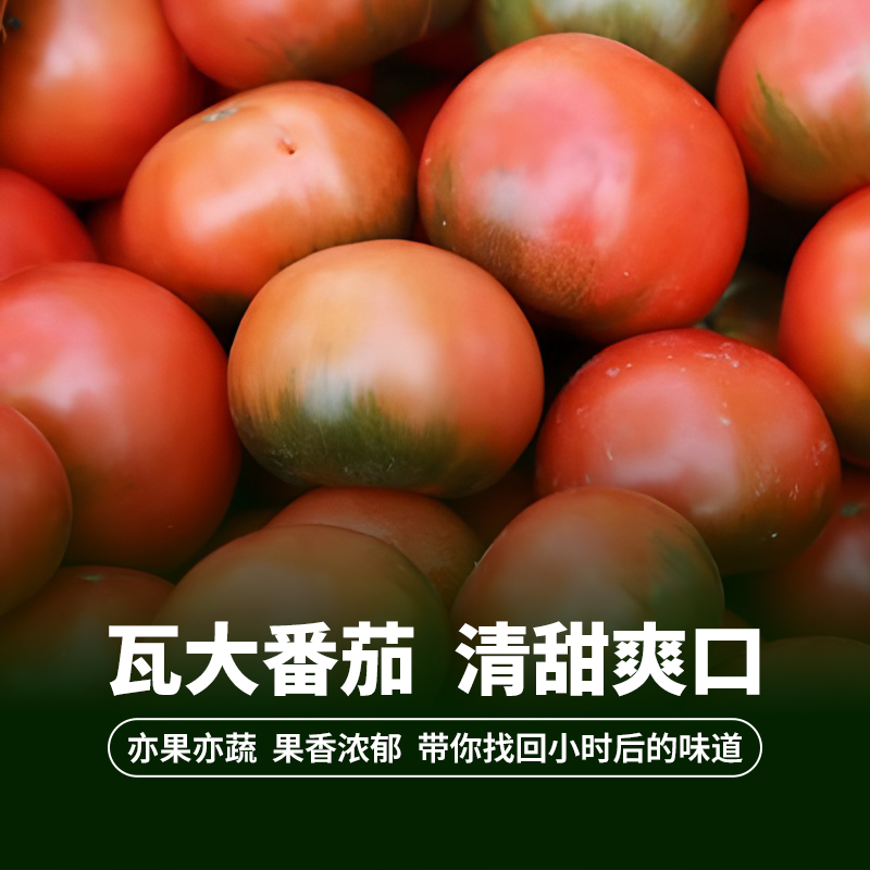 尝鲜『瓦大番茄』一箱4斤，鲜嫩多汁，一口就惊艳，品味自然的新鲜馈赠，营养与美味并存！