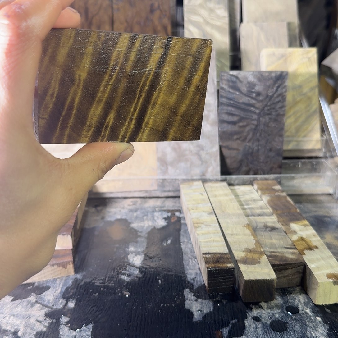 丽***枝金丝楠木小叶桢楠