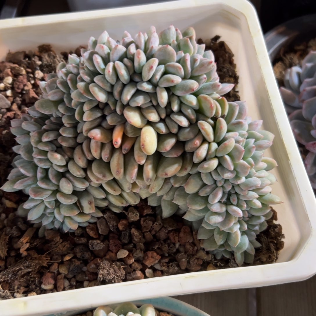 新年快乐 新年快乐