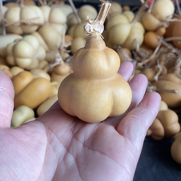 胖*姐葫芦的颜色很好看