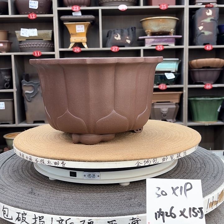 紫砂花盆非**柏紫砂的颜色很好看