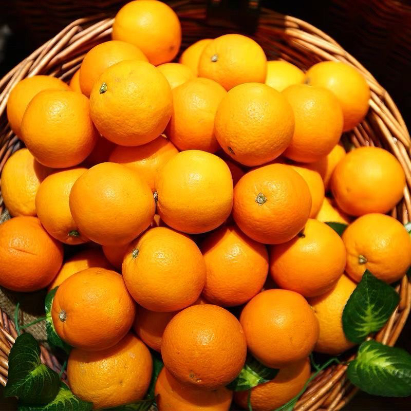 333贵州农家高山小橙子应季水果现摘现发