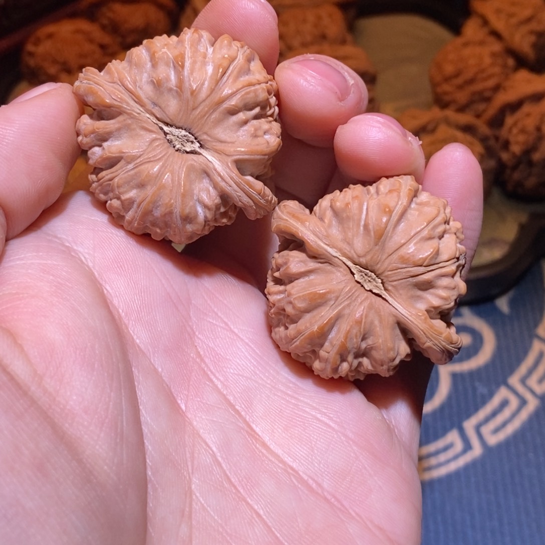 41尺 全品白茬 球白