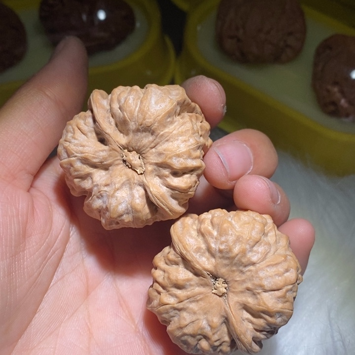 剧***终文玩核桃吊坠精品课程等