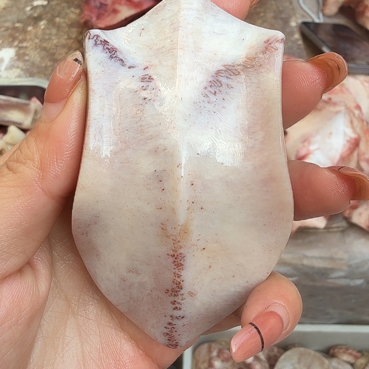 养殖鹿骨三界牌子