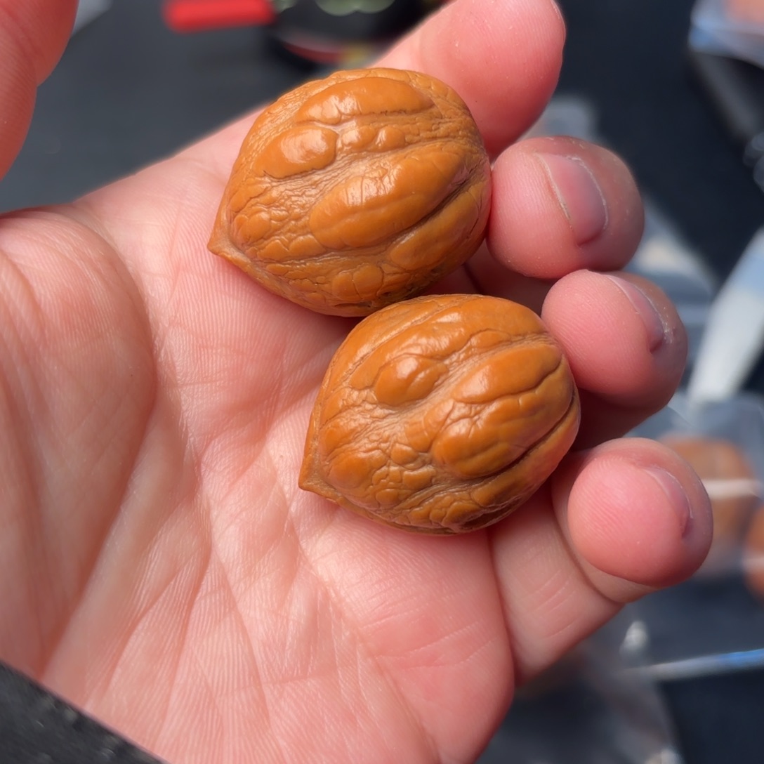 把件文玩核桃150000000